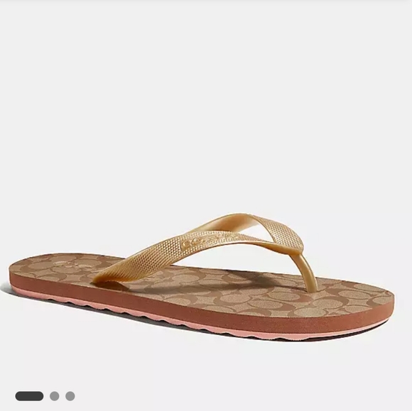 New! Zak Flip Flop - Picture 1 of 4